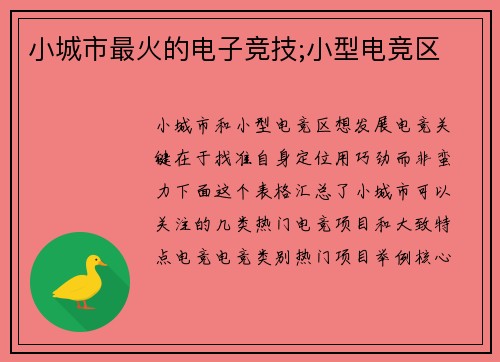 小城市最火的电子竞技;小型电竞区